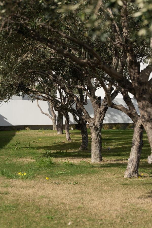 Tzanis Resort Skyros Luaran gambar